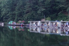 용인지곡낚시공원 유료낚시터 > ◐ 지곡지 긴급 공지 ◐ : 낚시사랑