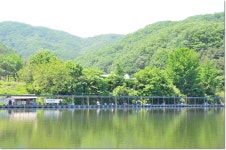 상덕낚시터 유료낚시터 > [상덕낚시터] 5월 4주차 이야기 - 용인 상덕 : 낚시사랑