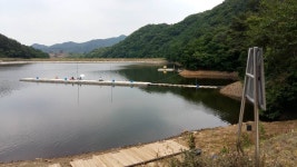 우목낚시터 유료낚시터 > 우목낚시터.조항올려봅니다 : 낚시사랑