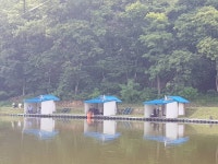 요덕골 유료낚시터 > 성하의계절 여름이네요 입질좋구요... : 낚시사랑