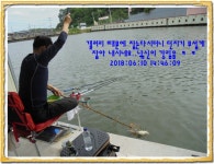 관리낚시터 유료낚시터 > 도심속의 작은 쉼터! 화성 관리낚시터입니다.[밤 조황이 살아났습니다.] : 낚시사랑