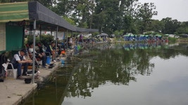 우금낚시공원 유료낚시터 > 끊임없는 호조황 : 낚시사랑