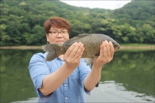 유정낚시터 유료낚시터 > 유정지 소식~ : 낚시사랑