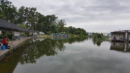 우금낚시공원 유료낚시터 > 비처럼 시원한 조황 : 낚시사랑