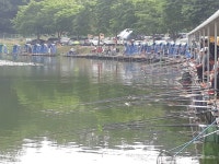 남전지기 유료낚시터 > 주중조황 및 방류소식 : 낚시사랑