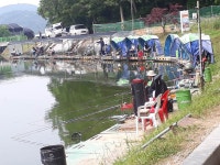 남전지기 유료낚시터 > 주중조황 및 방류소식 : 낚시사랑