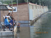 가산낚시터 유료낚시터 > 가산소식 : 낚시사랑