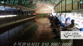 수목원낚시터 유료낚시터 > 수목원낚시터 6월 22일(금) 국산 풍천장어 낮조황 : 낚시사랑