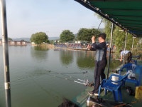 마전낚시공원 유료낚시터 > 포천 마전낚시터 주말조황 소식을 알립니다 : 낚시사랑