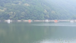 노은지 유료낚시터 > [노은지낚시터] 2018년 6월 23일~24일 조황정보 : 낚시사랑