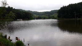 큰골낚시터 유료낚시터 > 비바람 속의 주초 조황입니다~~~ : 낚시사랑