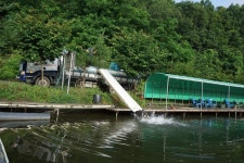 용인지곡낚시공원 유료낚시터 > ◐ 다행이도 ◐ : 낚시사랑