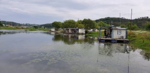 가교리낚시터 유료낚시터 > 당진 가교리낚시터 토종붕어 7월1일 조황 : 낚시사랑
