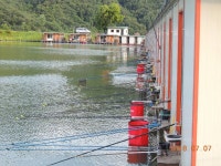 대석낚시터 유료낚시터 > 조사님들의 이해와 양해를 구합니다.. : 낚시사랑