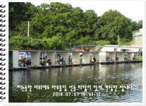 관리낚시터 유료낚시터 > 도심속의 작은 쉼터! 화성 관리낚시터입니다.[만석 감사합니다.] : 낚시사랑