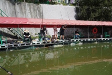 여주낚시터. 유료낚시터 > 여기저기~~~~ : 낚시사랑