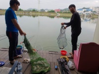 안성 거청낚시터 유료낚시터 > 7월 12 일 안성 거청낚시터 붕어조황 : 낚시사랑