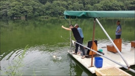 유정낚시터 유료낚시터 > 유정지 소식!! : 낚시사랑