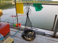 산들낚시터 유료낚시터 > 아산 산들낚시터의 7월22일 괜찮은 주말 모습 올려드립니다. : 낚시사랑