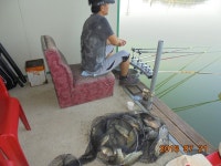 오빈낚시터 유료낚시터 > ***오빈낚시터*** 주말 조황정보및 방류 소식 전합니다 : 낚시사랑