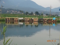 오빈낚시터 유료낚시터 > ***오빈낚시터*** 주말 조황정보및 방류 소식 전합니다 : 낚시사랑