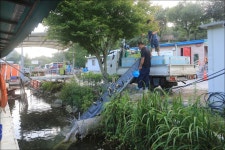 유정낚시터 유료낚시터 > 더위먹은 유정지 : 낚시사랑