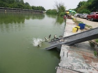 당골낚시터 유료낚시터 > ~~~조황정보~~~ : 낚시사랑