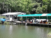 양평대명낚시터지기 유료낚시터 > 대명낚시터 주중,주말 조황 및 방류 정보 입니다. : 낚시사랑