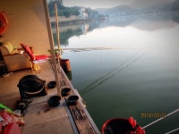 반제지 유료낚시터 > 반제낚시터 조황정보및 오늘도 방류됩니다 : 낚시사랑