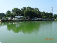 오빈낚시터 유료낚시터 > 오빈..폭염속의 폭풍입질~~ : 낚시사랑