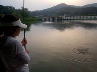 용설지 유료낚시터 > 찌가 벌러덩~ : 낚시사랑