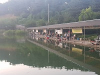 우금낚시공원 유료낚시터 > 주말조황스케치 : 낚시사랑