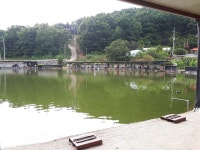 공주 큰목골낚시터 유료낚시터 > 공주 큰목골낚시터 8월13일 소식 : 낚시사랑