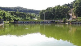 공주 큰목골낚시터 유료낚시터 > 공주 큰목골낚시터 8월20일 소식 : 낚시사랑