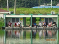 오빈낚시터 유료낚시터 > ***오빈낚시터*** 주말 조황정보 및 방류 소식 전합니다 : 낚시사랑