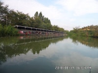 당골낚시터 유료낚시터 > ~~~조황정보~~~ : 낚시사랑