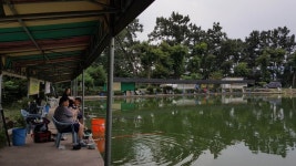 우금낚시공원 유료낚시터 > 폭풍전야~~ : 낚시사랑