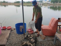 안성 거청낚시터 유료낚시터 > 8월 25 일 안성 거청낚시터 붕어조황 : 낚시사랑 안성 거청낚시터 유료낚시터 > 8월 25 일  안성  거청낚시터... 