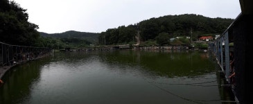 공주 큰목골낚시터 유료낚시터 > 공주 큰목골낚시터 8월27일 소식 : 낚시사랑
