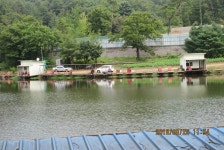 양평그린낚시터 유료낚시터 > 08월 25일~26일 주말 조황 정보 및 방류 소식~!! : 낚시사랑