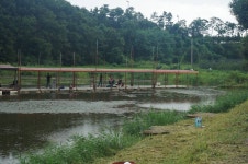 용대리낚시터 유료낚시터 > 딱!!알맞습니다. : 낚시사랑