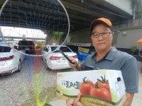 임진강낚시터 유료낚시터 > 파주 문산 임진강낚시터*붕어출조* : 낚시사랑