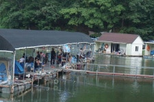 용인지곡낚시공원 유료낚시터 > ◐ 안타깝고 아쉽네요. ◐ : 낚시사랑