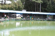 여주낚시터. 유료낚시터 > 주말 조황~~ : 낚시사랑