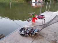 산들낚시터 유료낚시터 > 산들낚시터의 까칠한 주말 모습입니다. : 낚시사랑