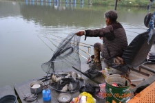 고담낚시터 유료낚시터 > 말이 필요없는 조황입니다 . : 낚시사랑