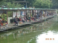 오빈낚시터 유료낚시터 > ***오빈낚시터*** 방류 소식 전합니다**** : 낚시사랑