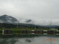 오빈낚시터 유료낚시터 > ***오빈낚시터*** 방류 소식 전합니다**** : 낚시사랑