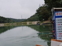 신기 낚시터 유료낚시터 > 2018년 9월21일 주간 조황안내 : 낚시사랑