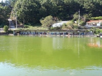 공주 큰목골낚시터 유료낚시터 > 공주 큰목골낚시터 9월27일 소식 : 낚시사랑
